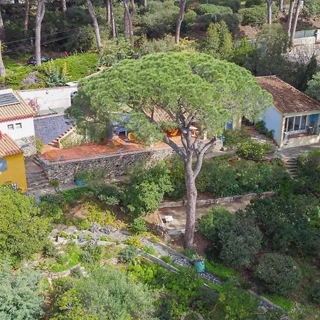 Guest house D'hotes - La Moustelle